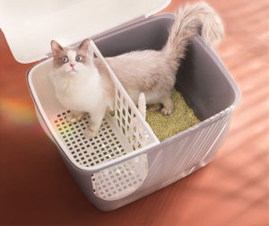 tandas kucing terowang