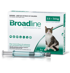 broadline cat