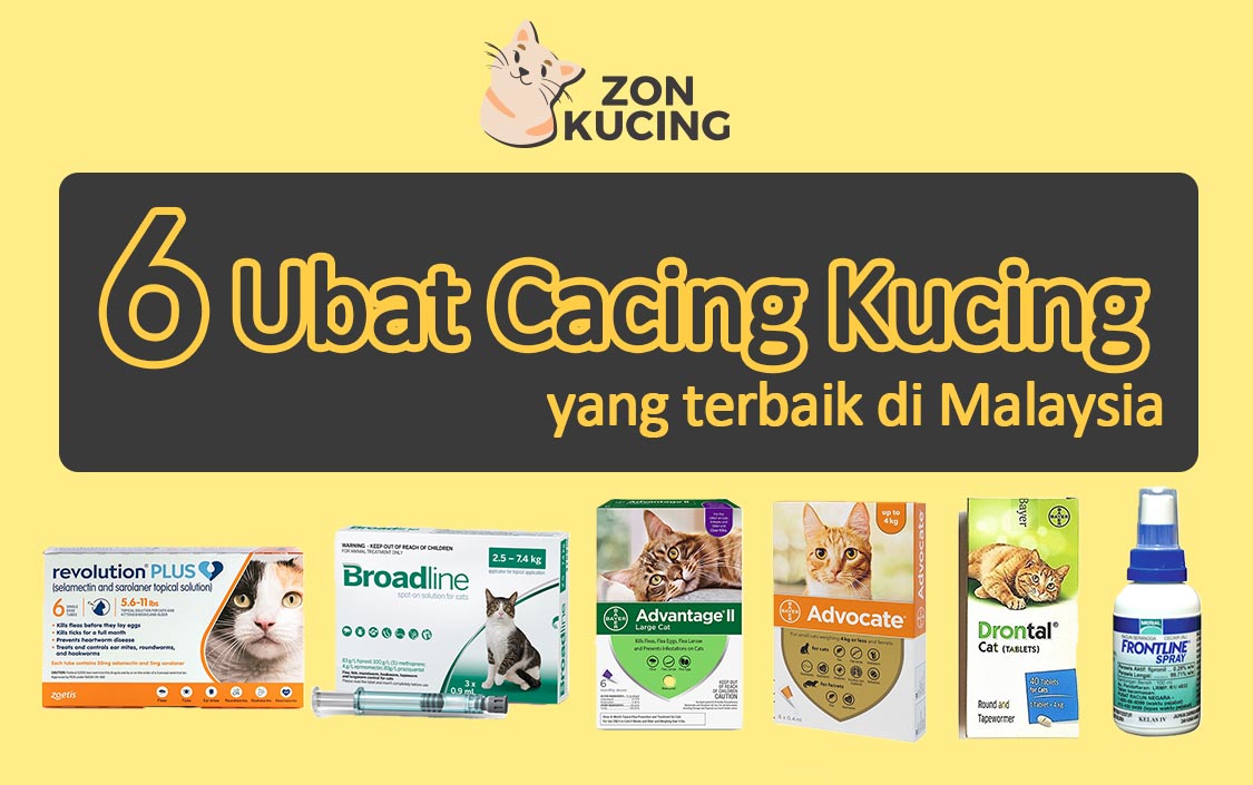 6 ubat cacing kucing yang terbaik di Malaysia  ZonKucing