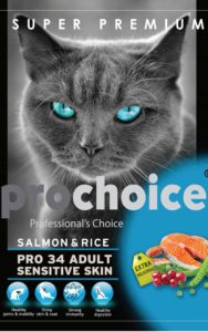 Prochoice cat