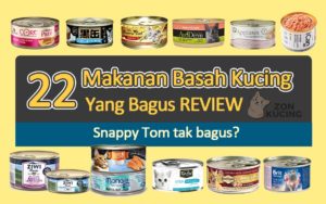 makanan-basah-kucing-bagus-di-malaysia