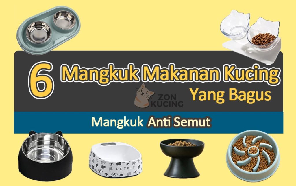 mangkuk makanan kucing terbaik di malaysia